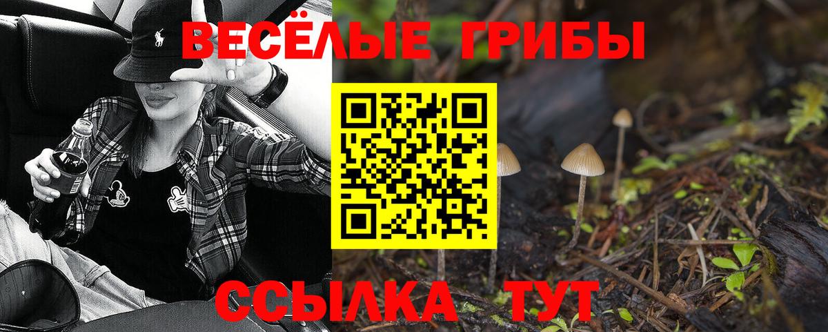 Фрязино  Псилоцибиновые грибы GOLDEN TEACHER  Вход с VPN 
