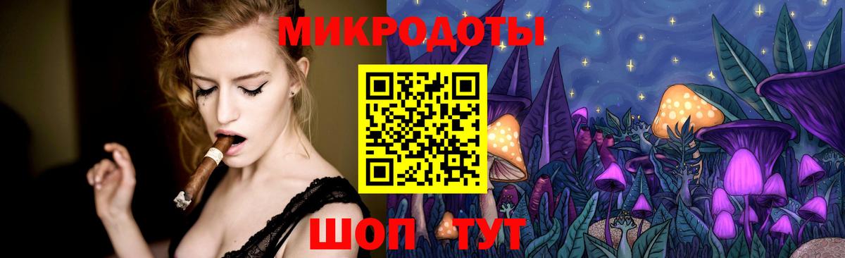 Галлюциногенные грибы Psilocybine cubensis Фрязино
